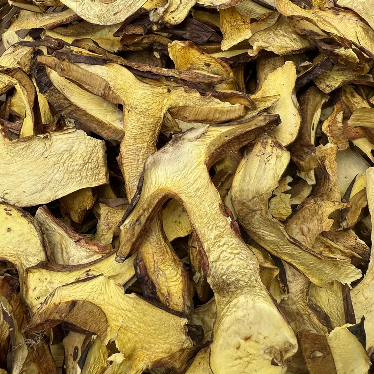 白葱牛肝菌干菌60g新货煲汤云南菌子云南高原特产食用自然农产品