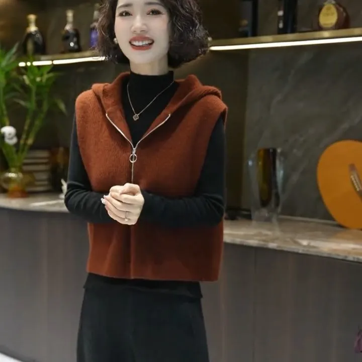 拉链连帽针织马甲背心女冬季毛衣内搭打底衫2025新款叠穿韩系上衣
