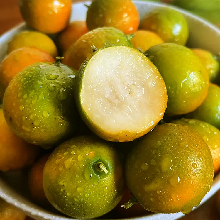 广西二代脆皮金桔滑皮金桔新鲜水果当季冰糖桔皮薄现摘现发TL