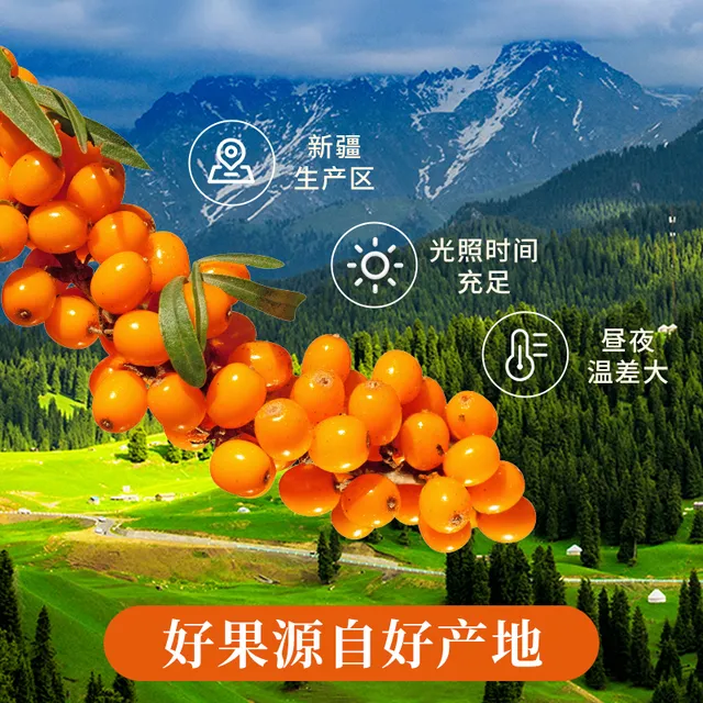 新疆特产沙棘原浆500g纯野沙棘汁新鲜生榨果汁无添加袋装冲饮饮料