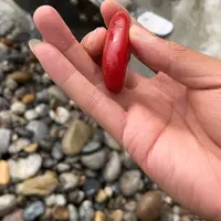 未镶嵌和田玉（糖玉）车挂