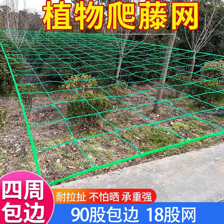 爬藤网丝瓜专用爬藤网黄瓜葡萄庭院菜园搭架瓜藤攀爬网豆角专用网