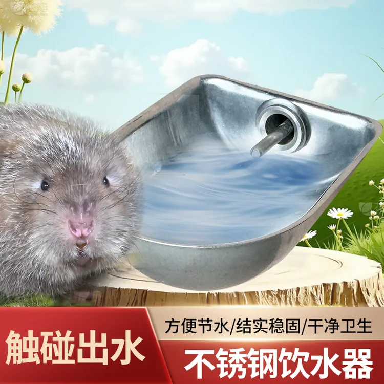 竹鼠饮水器不锈钢饮水碗喝水杯安装竹鼠人工养殖用品防中暑防啃咬
