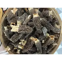 【羊肚菌】湖北高山特产农家采摘自晒羊肚菌