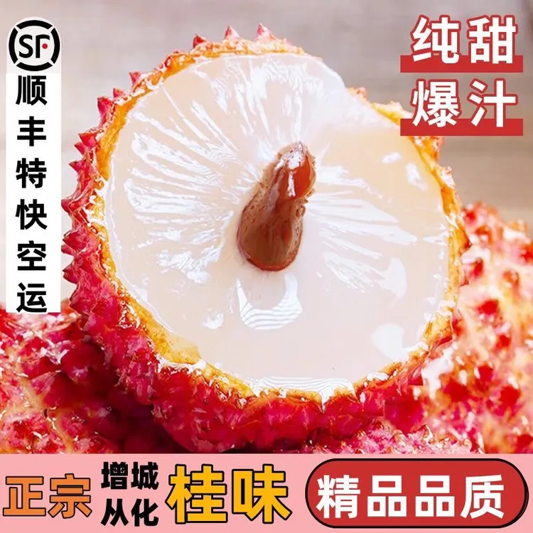 净重4-8斤广东从化桂味荔枝京东包邮现摘现发大果爆汁甜自家果场