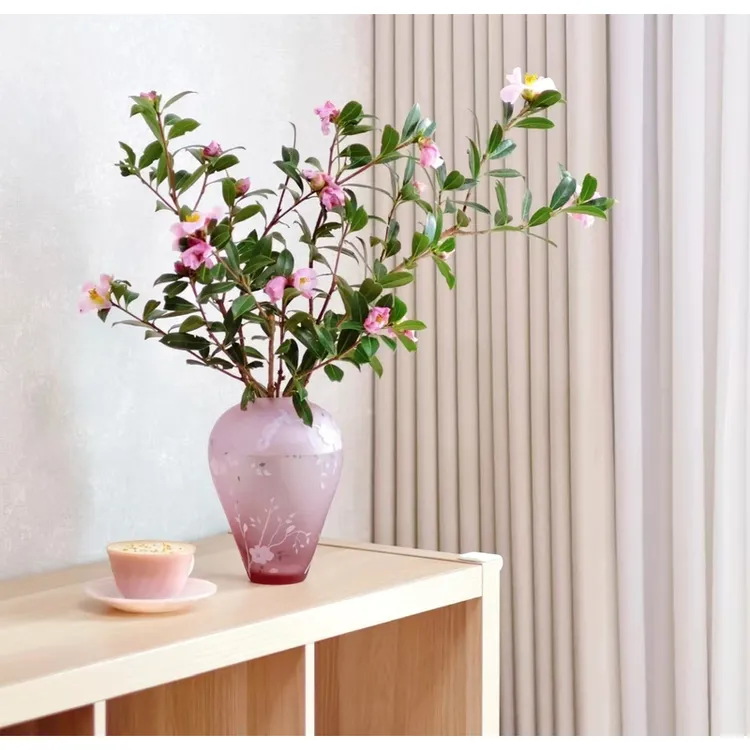 山茶花水培鲜切枝云南基地直发