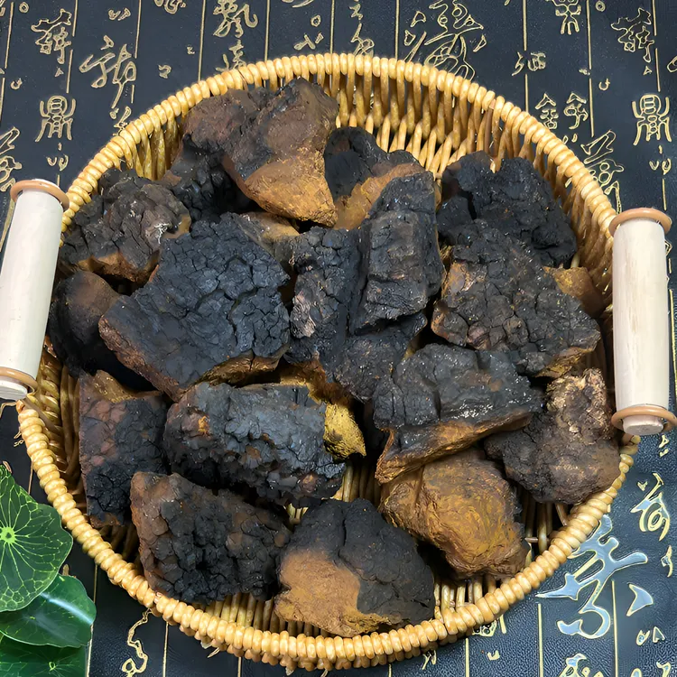 【手工精选】俄罗斯边境桦树茸黑皮块250g/500g包邮煮水泡水天然