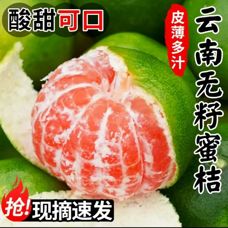 【5斤】现摘云南青皮无籽蜜桔新鲜应季水果酸甜多汁适合孕妇