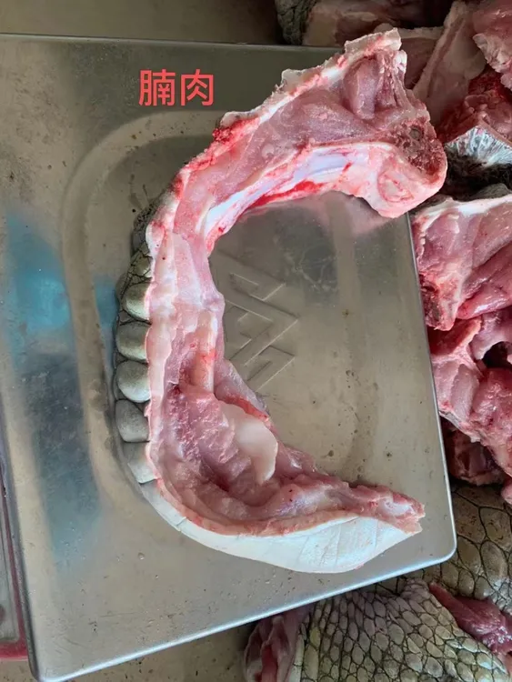 鳄鱼腩排肉新鲜现杀人工养殖鳄鱼腩排肉