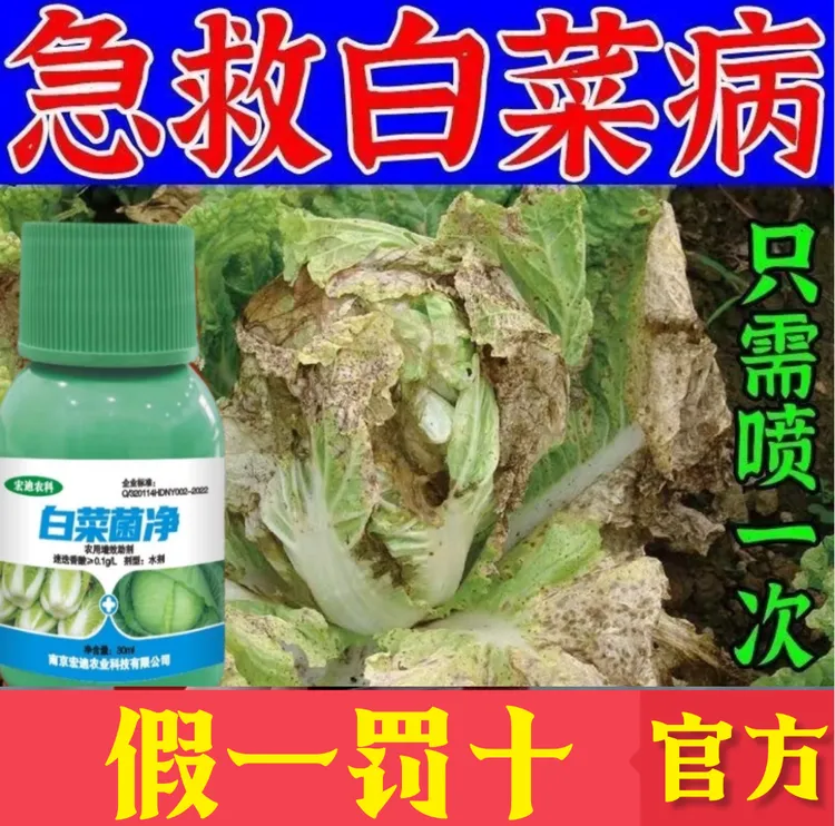 【新客专享】白菜专用干烧心死棵烂帮软腐烂疙瘩包心快增产