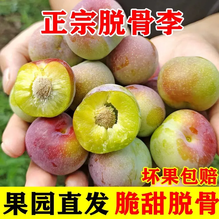 四川正宗脱骨半边红茵红李新鲜应季水果脆甜多汁