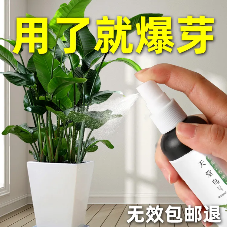 CPAI天堂鸟专用营养液高效预防绿植物黄叶黄斑卷边通用免稀释专用