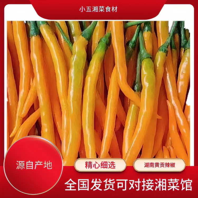 湖南黄贡辣椒正宗产地直供新鲜采摘南方配送绿色农家菜