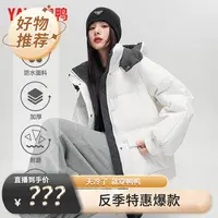 鸭鸭冬季羽绒服女短款连帽纯色鸭绒休闲加厚外套