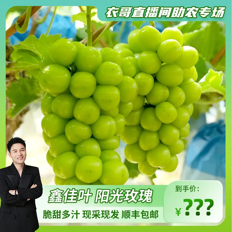 【鑫佳叶】湖南澧县阳光玫瑰晴王香印青提净重3斤 单果8g+ 2-3串