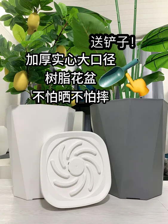 天堂鸟幸福树北欧百合竹琴叶榕室内外特厚特硬几何菱形多边形花盆