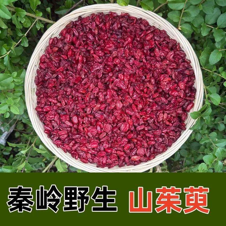 秦岭深山野生山茱萸 无核野生山茱萸肉 中药材正品包邮