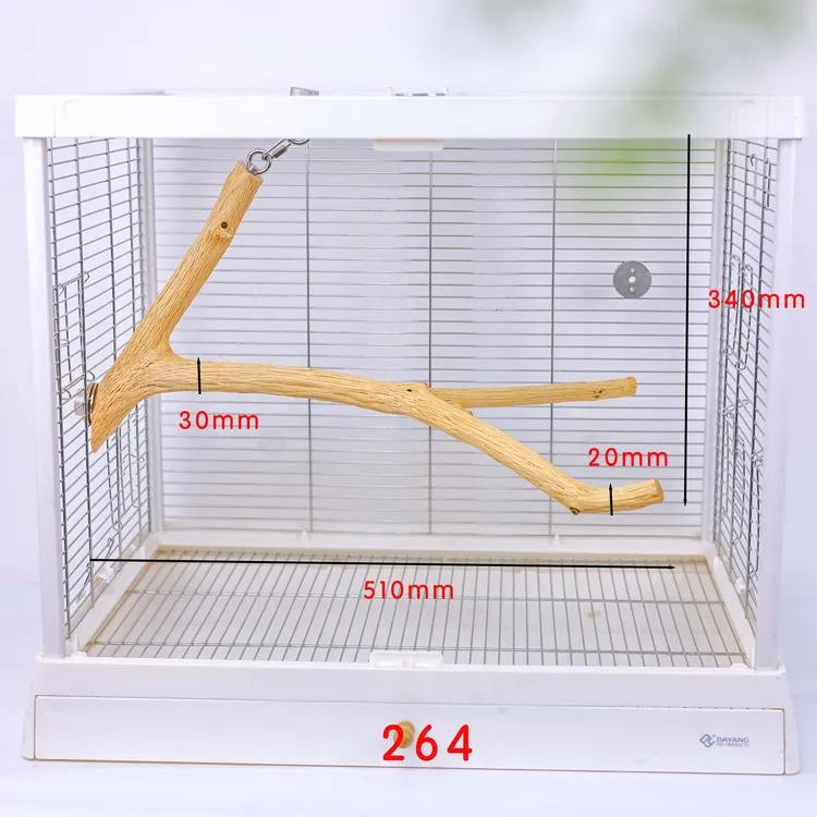 【大异形4】洪屿鹦鹉站杆野梨木原木异形鸟实木站架树枝宠物啃咬