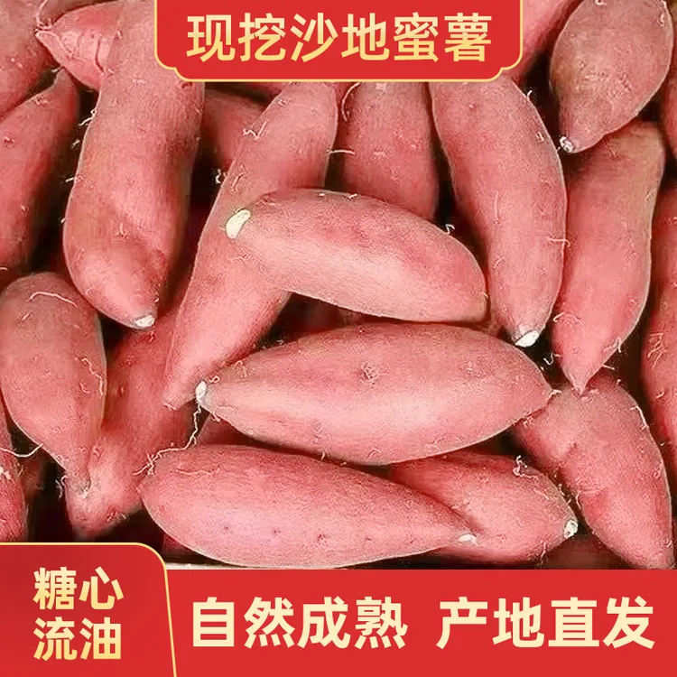 商超品质蜜薯山东烟薯25号蜜薯新鲜糖心香甜烤红薯沙地冰糖蜜薯