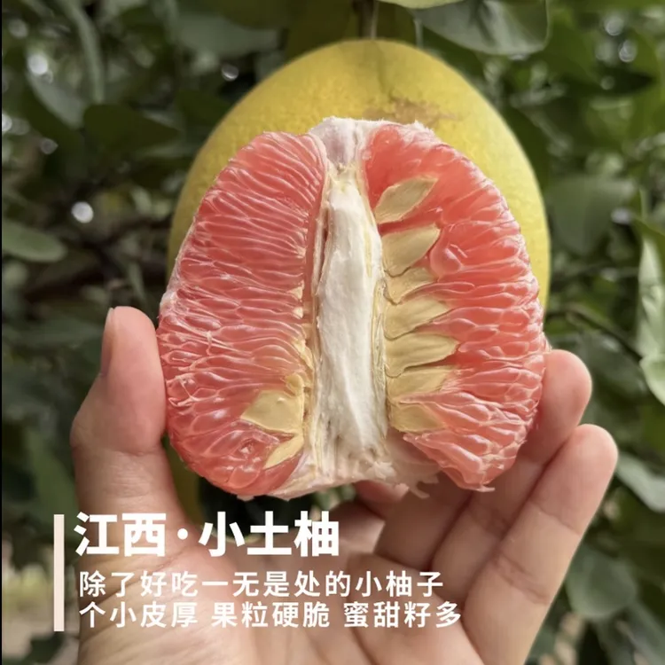 江西小土柚 除了好吃一无是处 个小皮厚籽大 但抵不住好吃脆甜