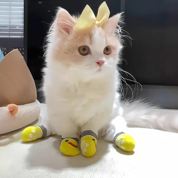 8只装猫咪袜子防抓防脏防滑脚套泰迪比熊博美小型犬宠物狗狗鞋子