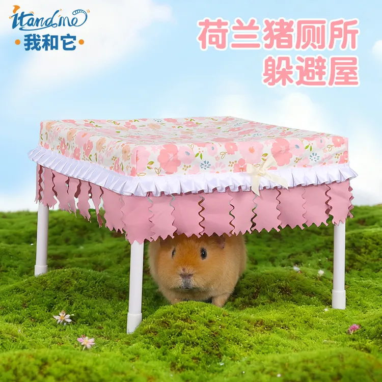 【小小的嘟嘟专属】我和它荷兰猪厕所躲避兔子龙猫流苏躲避豚鼠躲避