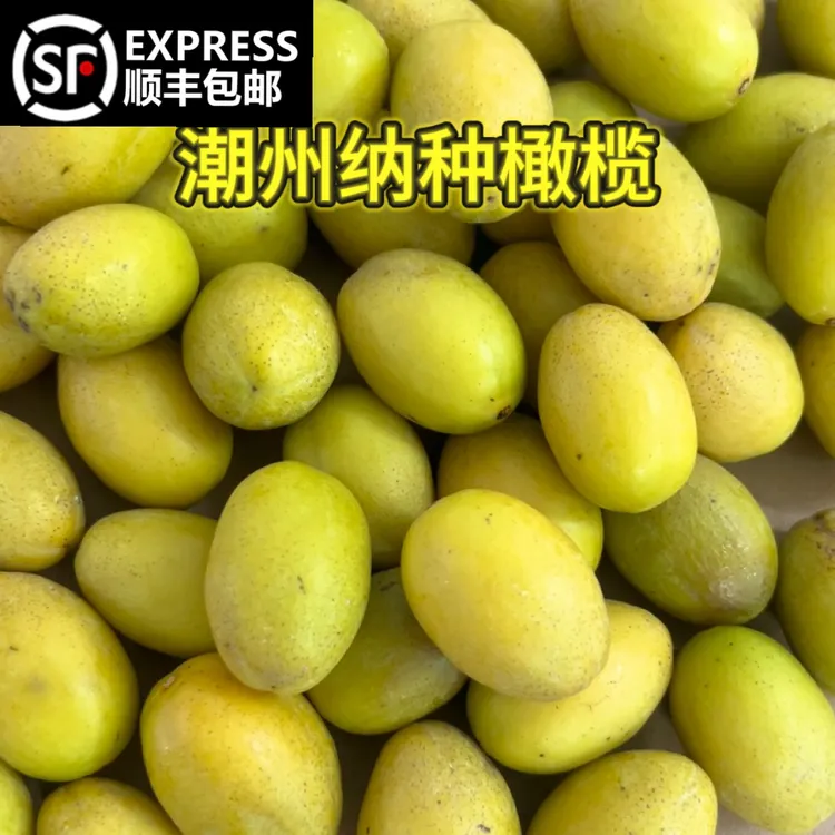 潮汕潮州纳种橄榄 汁水多肉厚 香甘生吃 橄榄味浓香1斤起顺丰