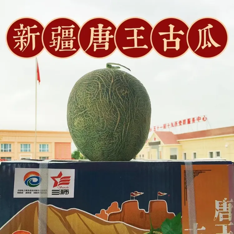 唐王古瓜-一个让你吃了不上火的甜瓜