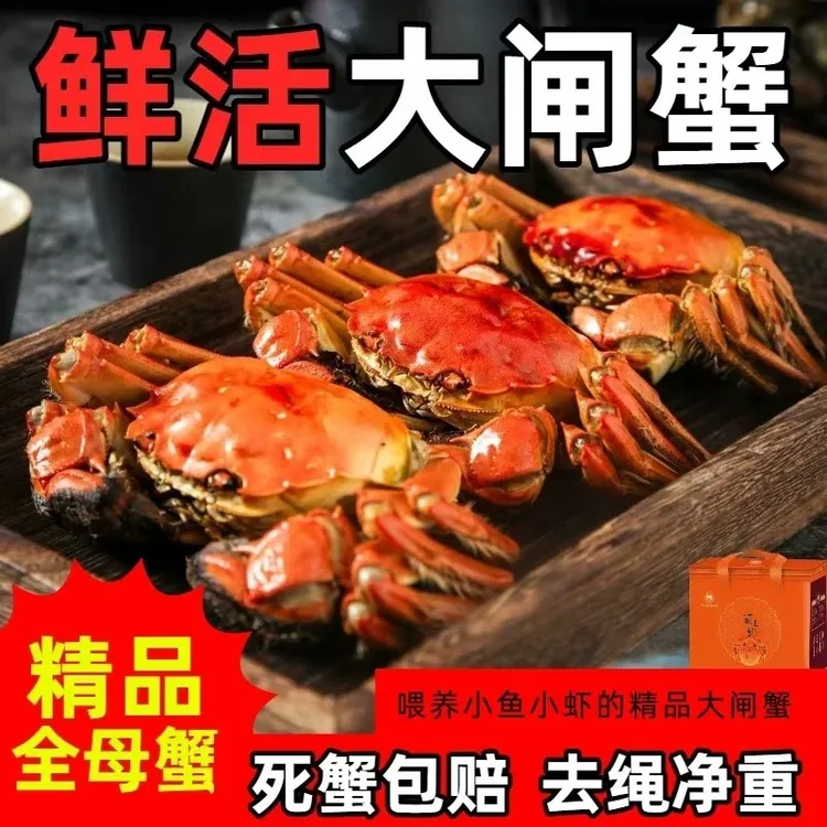 全【活蟹】江苏大闸蟹3.1-2.7两公5只+母5只共10只顺丰包邮鲜活到家