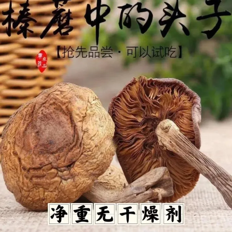精选榛蘑片 手工剪根 手工挑选 小鸡炖蘑菇