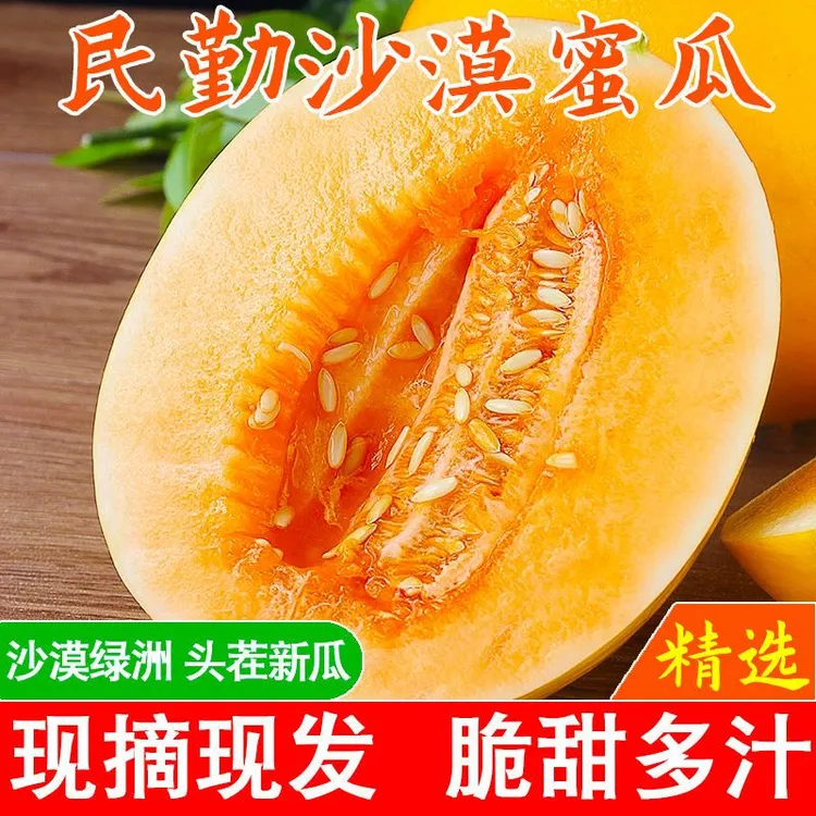 甘肃民勤沙漠蜜瓜金红宝新鲜采摘蜜甜多汁