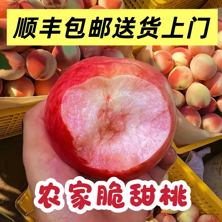 【脆甜桃子】当季新鲜水果桃子脆甜水蜜桃孕妇水果脆甜多汁毛桃现摘