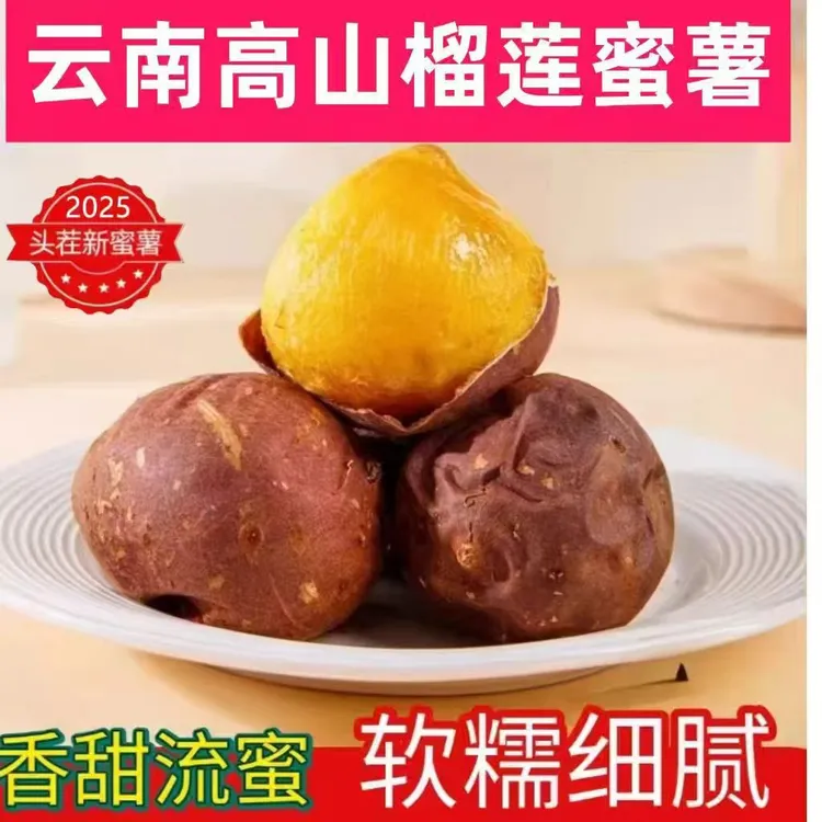 【云南小糖豆榴莲蜜薯】圆圆果丝滑流油黄金香甜地瓜红薯番薯5斤3斤