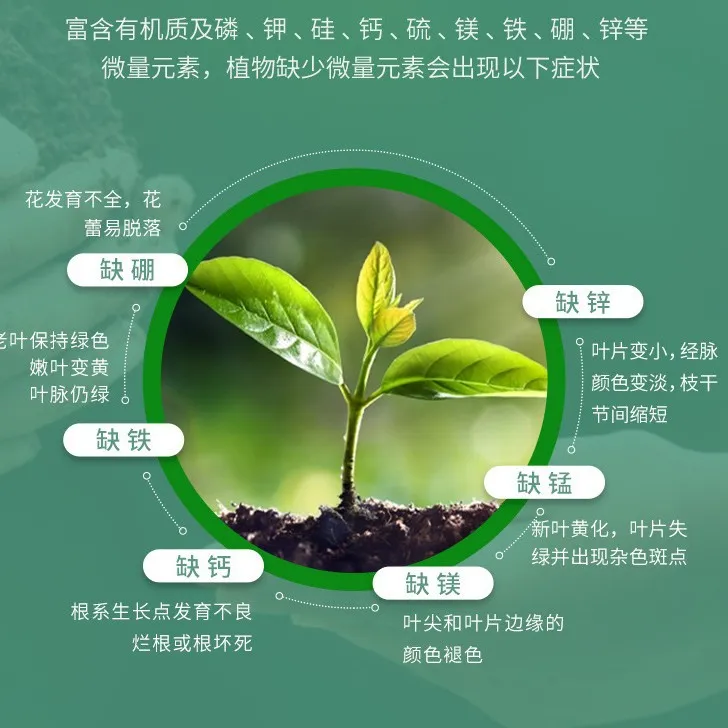 多肉花卉通用有机营养液育苗种植肥料绿植农用肥