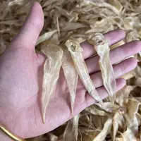甄选豆仁公胶430头左右滋补海味 正品孕妇月子小孩女老人营养滋补