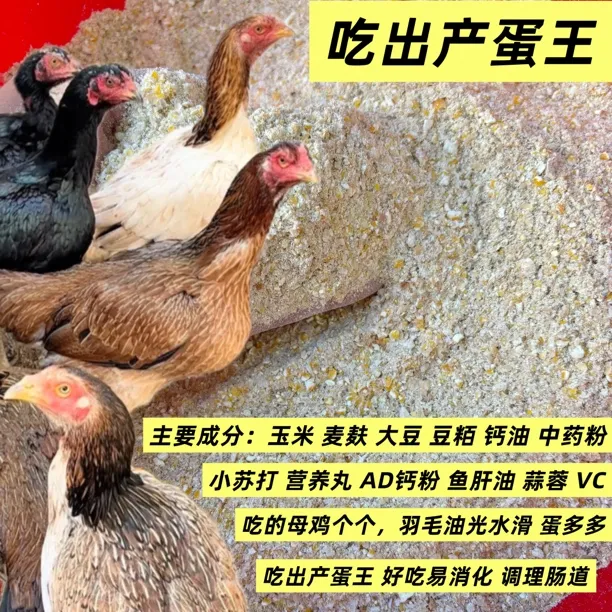 鸡鸭鹅鸟通用易消化提高营养吸收涨势快吃出产蛋王