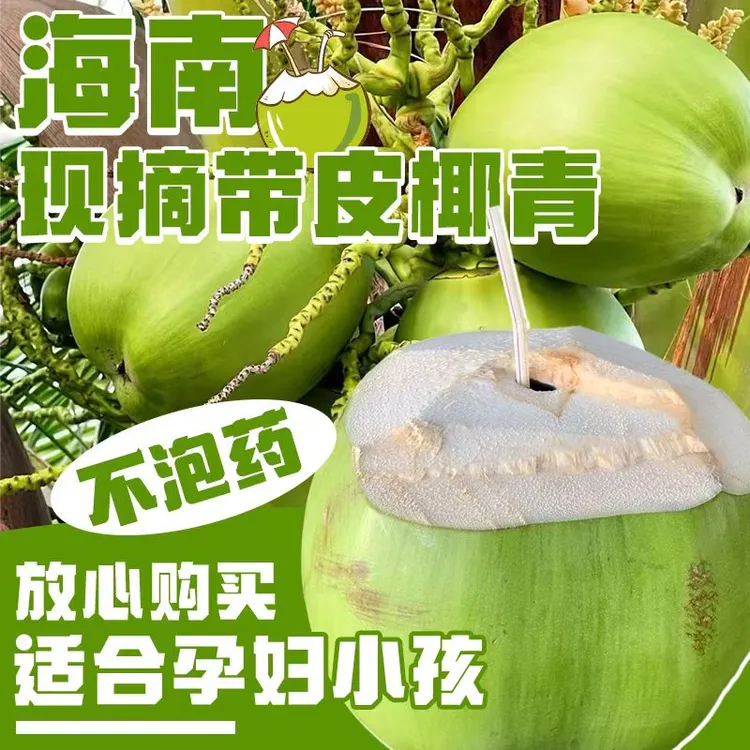 海南椰青带皮新鲜椰子水孕妇水果解渴4/6个装整箱当季热带水果