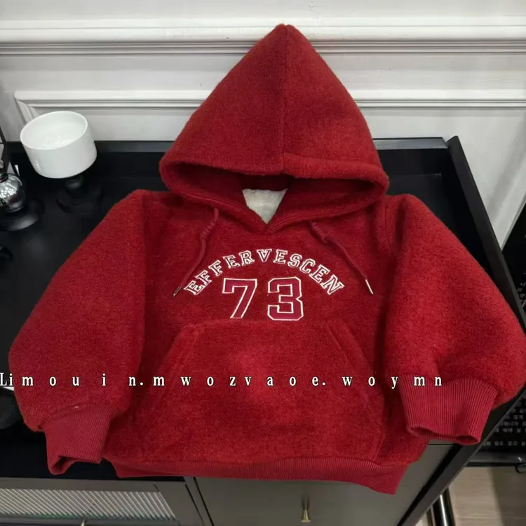 甲辰辞旧岁萌娃焕新衣冬季男女童数字字母加绒韩里韩气新年红卫衣