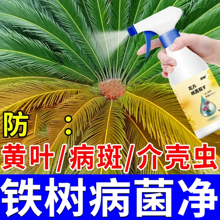 铁树病菌净喷剂专用营养液防黄叶病斑病虫害急救叶子掉落枯萎肥料