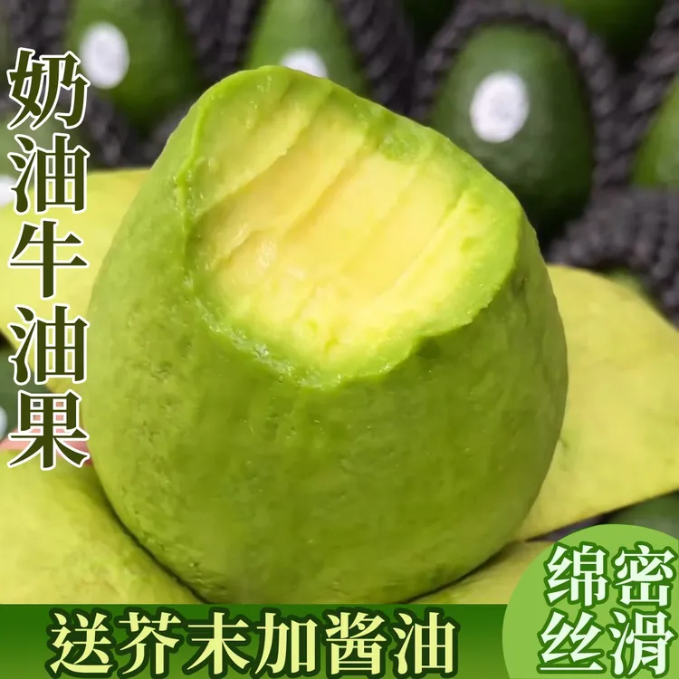 S3正宗云南孟连哈斯牛油果现采现摘当季新鲜水果宝宝辅食坏果包赔