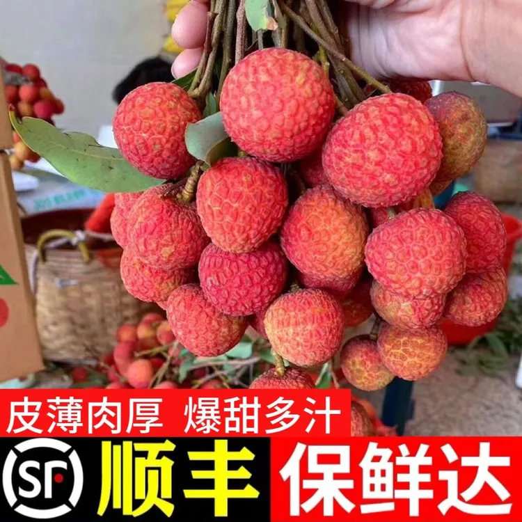 【顺丰助农】白糖黑叶荔枝新鲜现摘福建乌叶荔枝当季水果整箱6斤