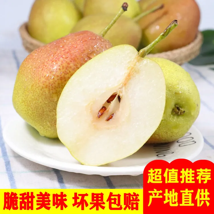 果中邢【产地直供】正宗红香酥梨脆甜多汁皮薄现摘雪梨子新鲜水果