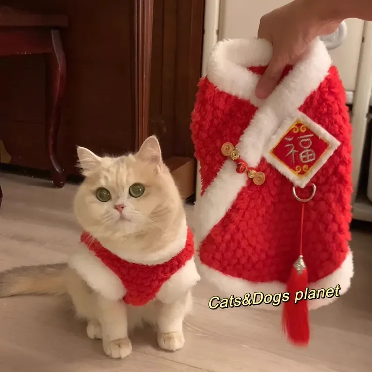 猫咪新年衣服秋冬装可爱ins蓝金渐层布偶蓝猫红色过年喜庆衣服yw