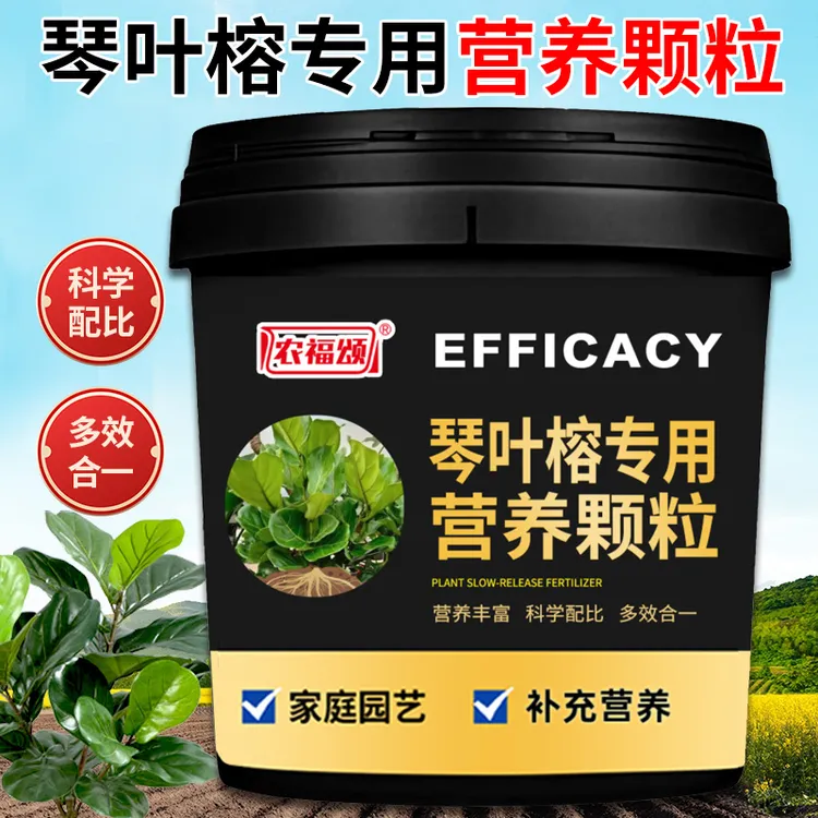 琴叶榕专用肥料榕树松树通用花卉绿植阳台盆栽颗粒营养型缓释肥
