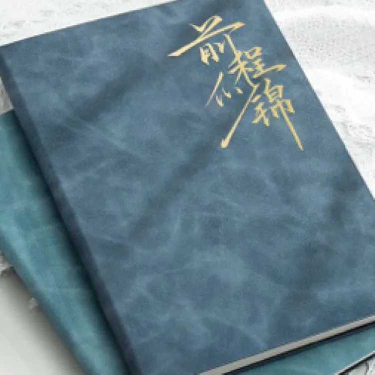 加厚软皮面简约风商务记事笔记本