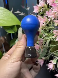 板娘专享 白水黑金刚脸灸微瑕福利随机发货不退不换 -X492