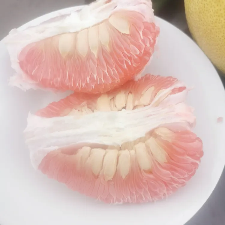 爆款马家柚柚子天花板 肉质鲜嫩纯甜无酸现摘现发