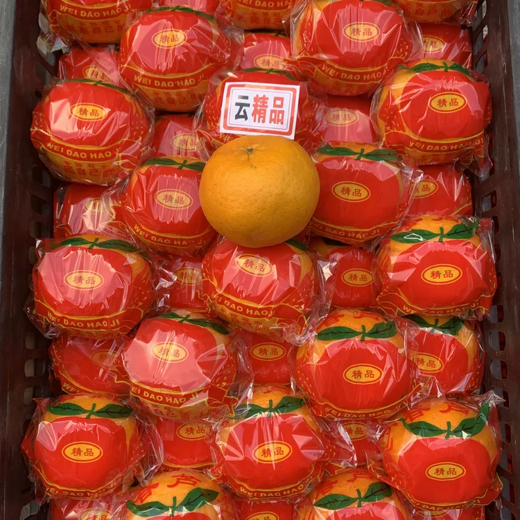 当季新鲜永春芦柑香甜多汁