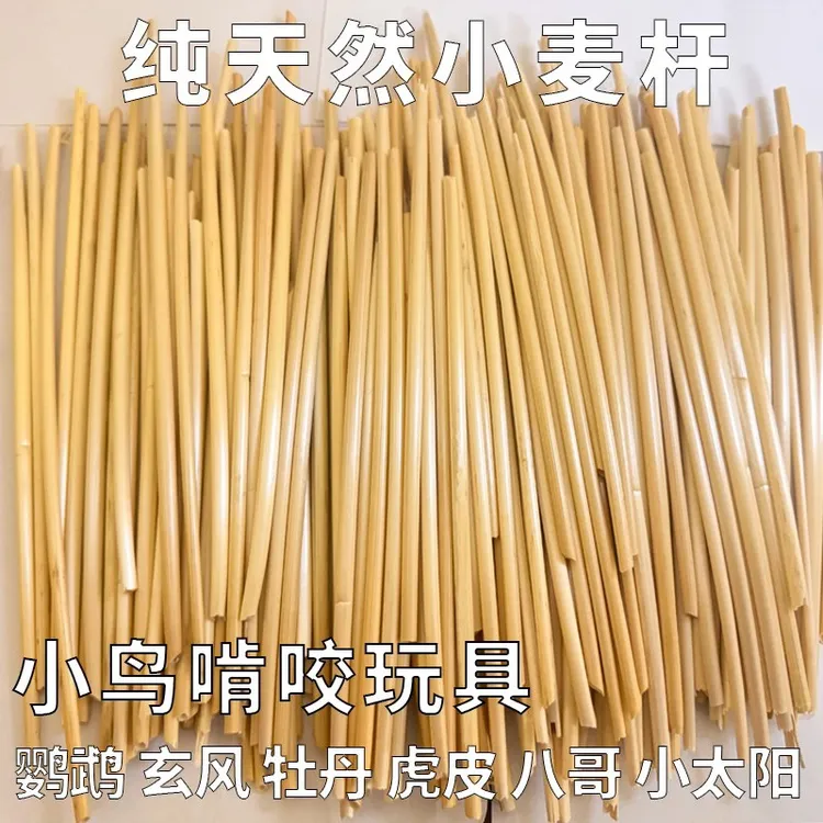 鹦鹉小麦秆啃咬玩具