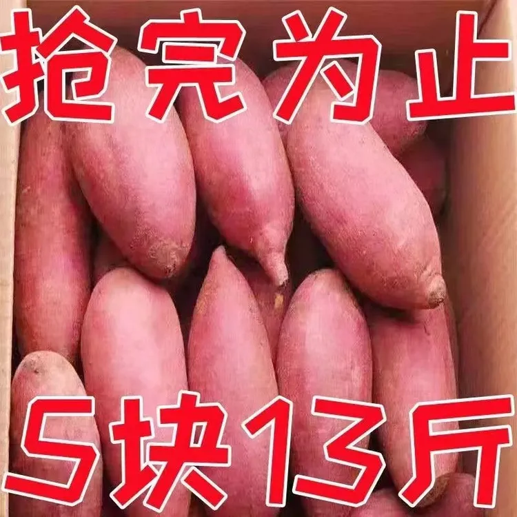 【2025新蜜薯】正宗沙地蜜薯超甜红薯1/9斤板栗番薯地瓜红苕蔬菜